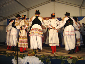 Jesen u baranji 2010 - Smotra folklora